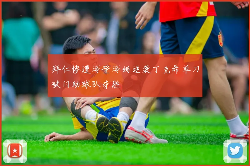 拜仁惨遭海登海姆逆袭丁克希单刀破门助球队夺胜